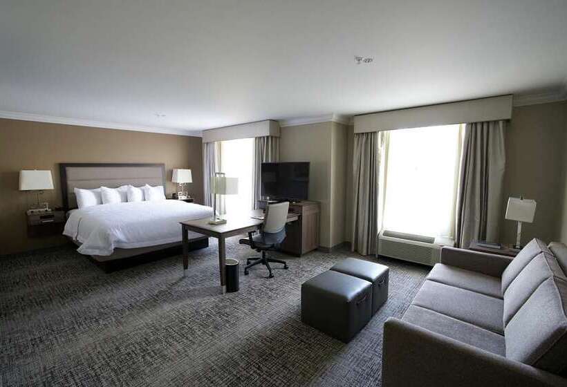 스탠다드 룸, Hampton Inn Brooklyn Park