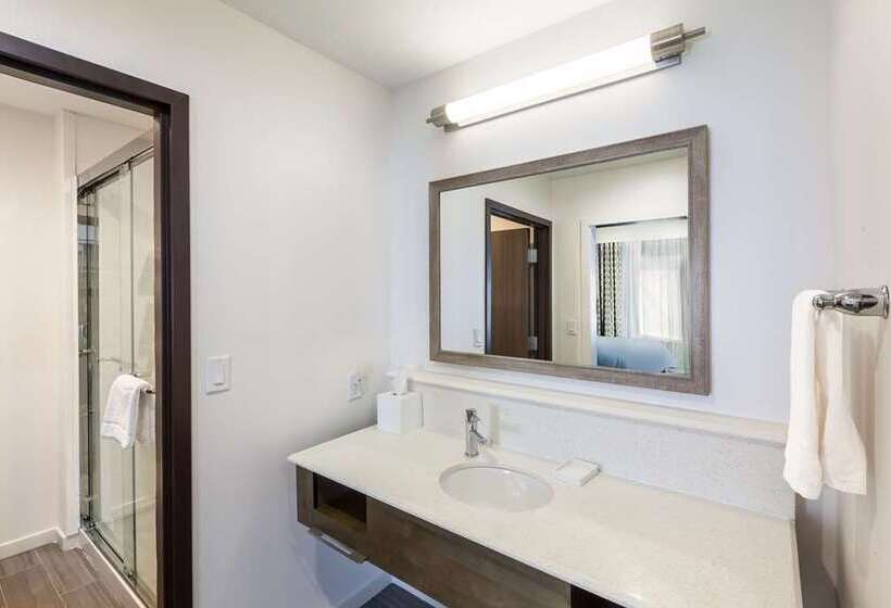 스탠다드 룸, Hampton Inn Brooklyn Park