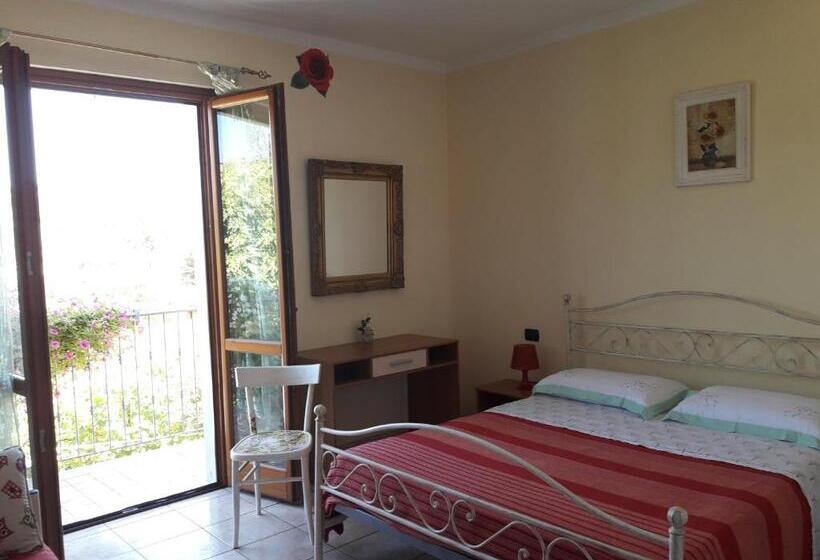 スタンダードルーム, Nonno Pio