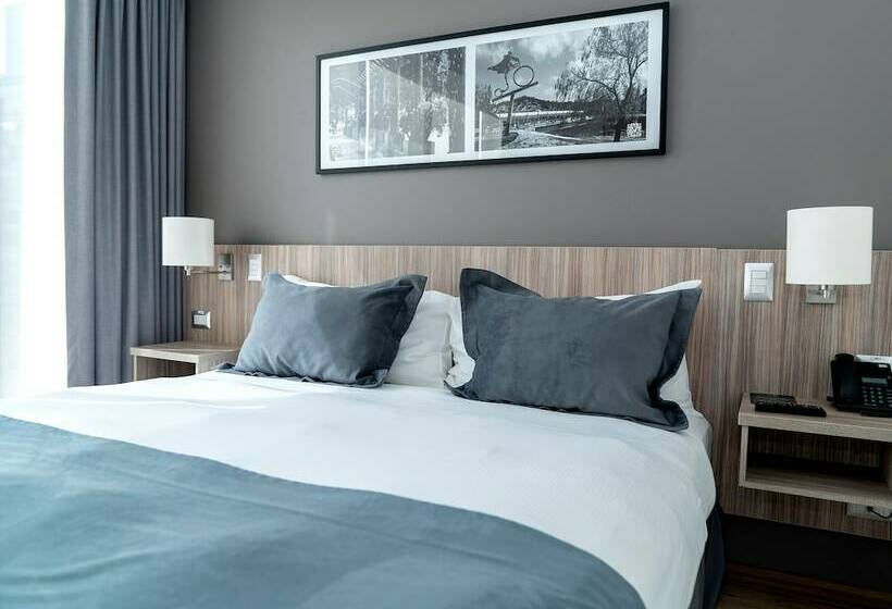 高级大房间, Capital Bellet