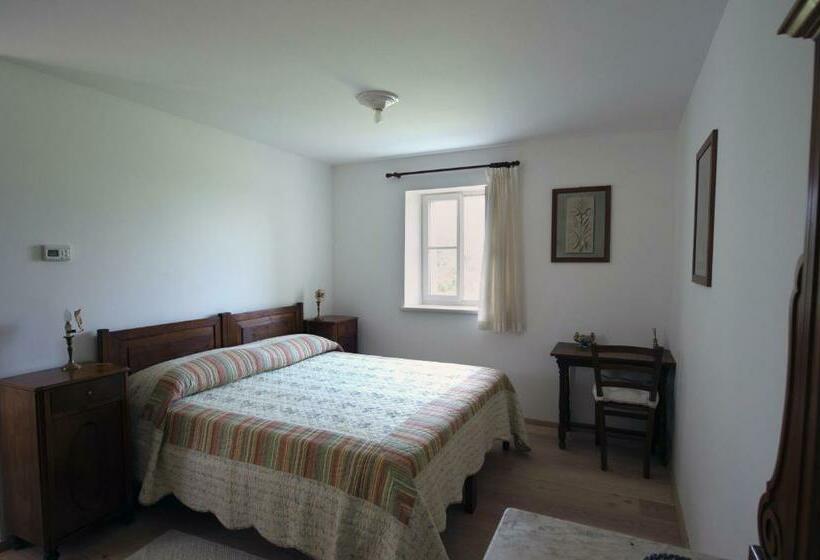 标准间, Casali Del Picchio   Winery