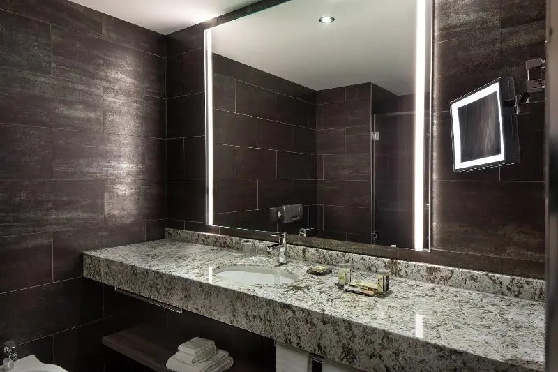 身障者適用スタンダードルーム, Hilton Garden Inn Zurich Limmattal