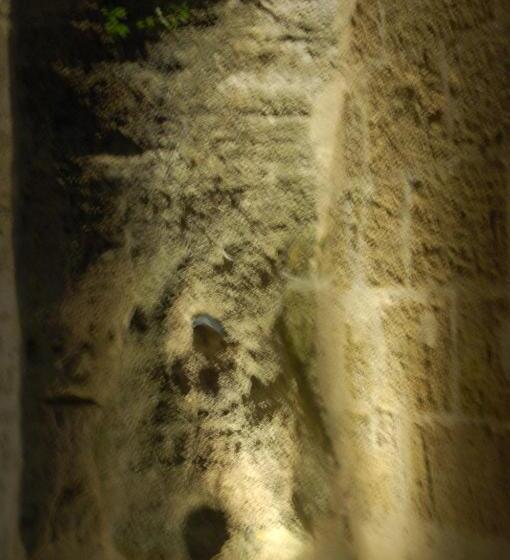 스탠다드 룸, Rocaminori Hôtel