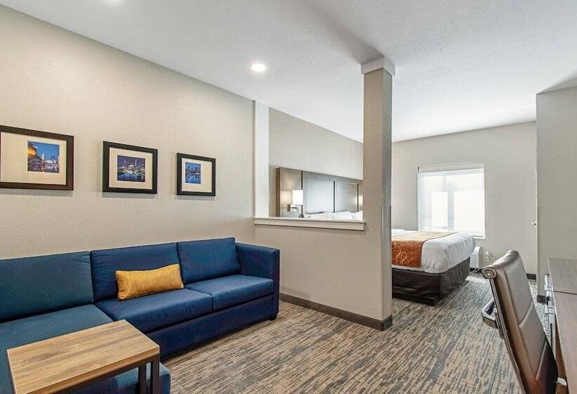 סוויטה מותאמת לאדם עם מוגבלויות, Comfort Suites Grove City  Columbus South