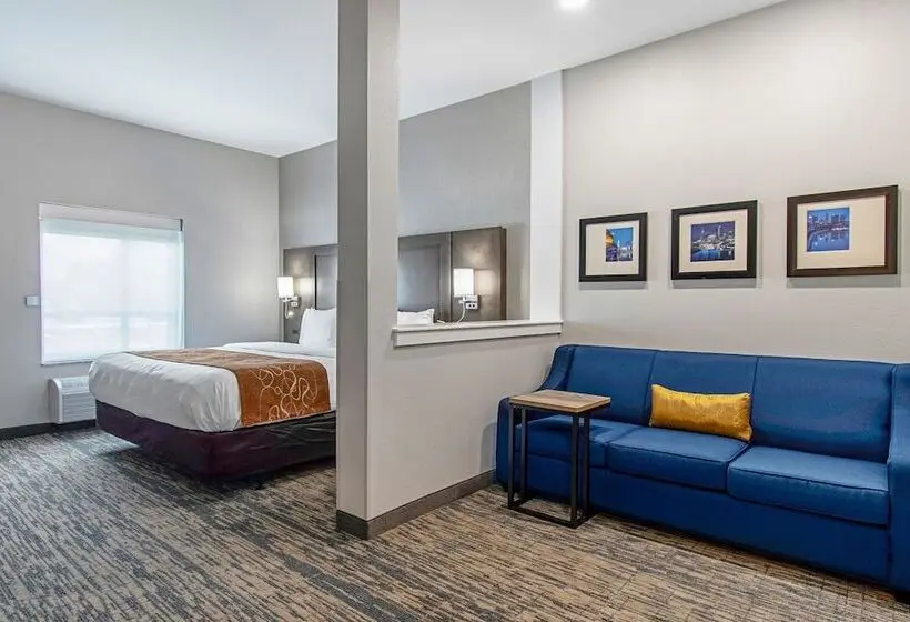 身障者適用スイートルーム, Comfort Suites Grove City Columbus South
