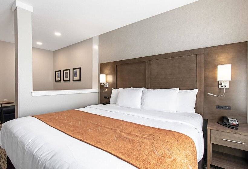 Люкс Адаптированный для Инвалидов, Comfort Suites Grove City  Columbus South