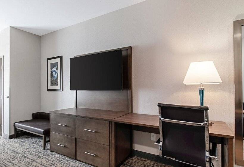 סוויטה מותאמת לאדם עם מוגבלויות, Comfort Suites Grove City  Columbus South