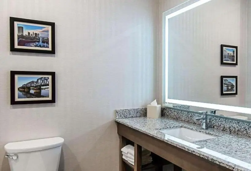キングサイズベッドのスイートルーム, Comfort Suites Grove City Columbus South