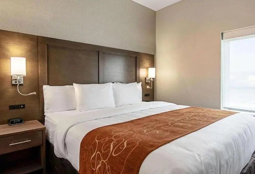 キングサイズベッドのスイートルーム, Comfort Suites Grove City Columbus South