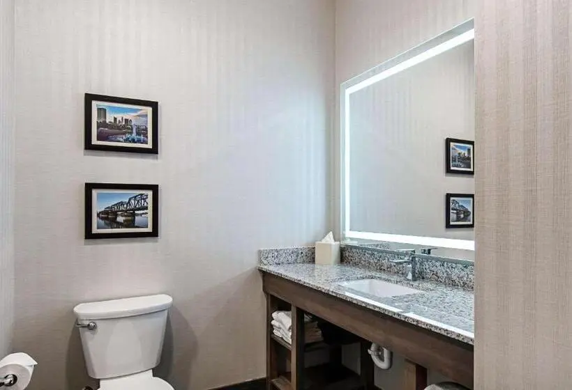 スイート, Comfort Suites Grove City Columbus South