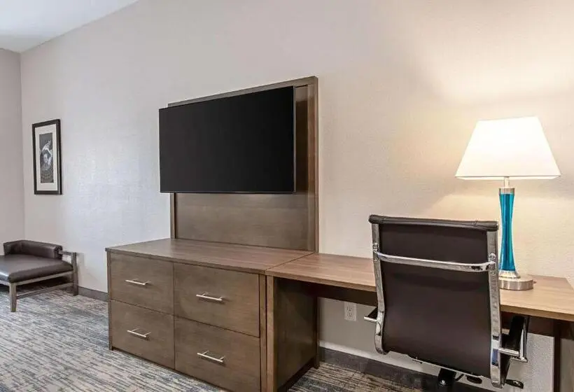 スイート, Comfort Suites Grove City Columbus South