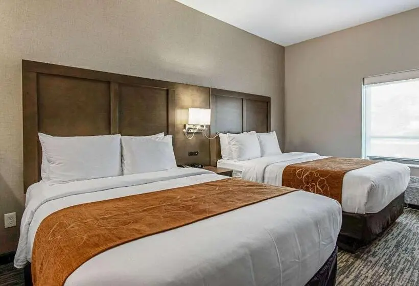 スイート, Comfort Suites Grove City Columbus South