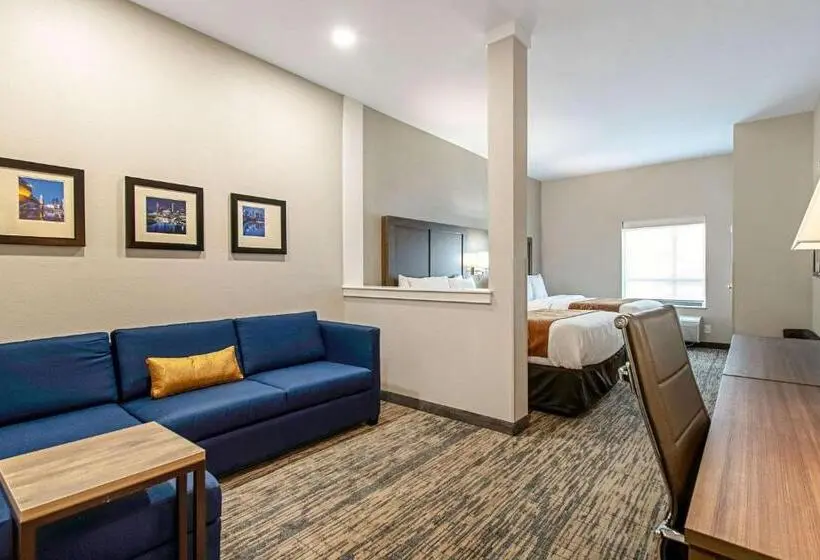 スイート, Comfort Suites Grove City Columbus South