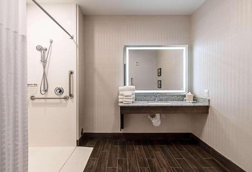 סוויטה מותאמת לאדם עם מוגבלויות, Comfort Suites Grove City  Columbus South