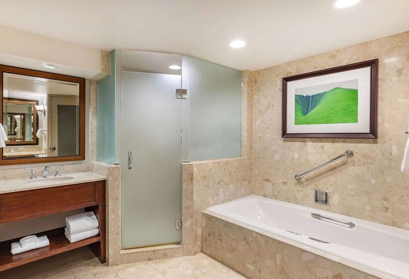 غرفه قياسيه سريرين مزدوجين, Hilton Grand Vacations Club Ocean Tower Waikoloa Village