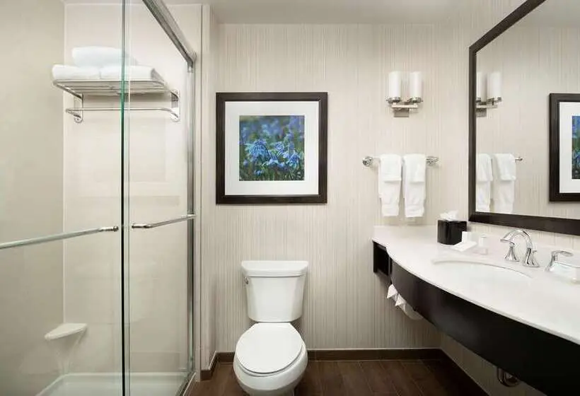 キングサイズベッドのスタンダードルーム, Hilton Grand Vacations Club Ocean Tower Waikoloa Village