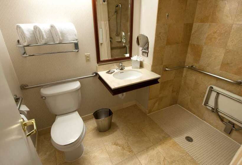 חדר דלוקס, Hilton Pilar