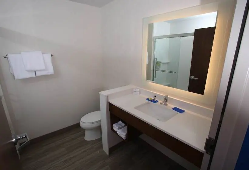 身障者適用スイートルーム, Holiday Inn Express   Mccook, An Ihg