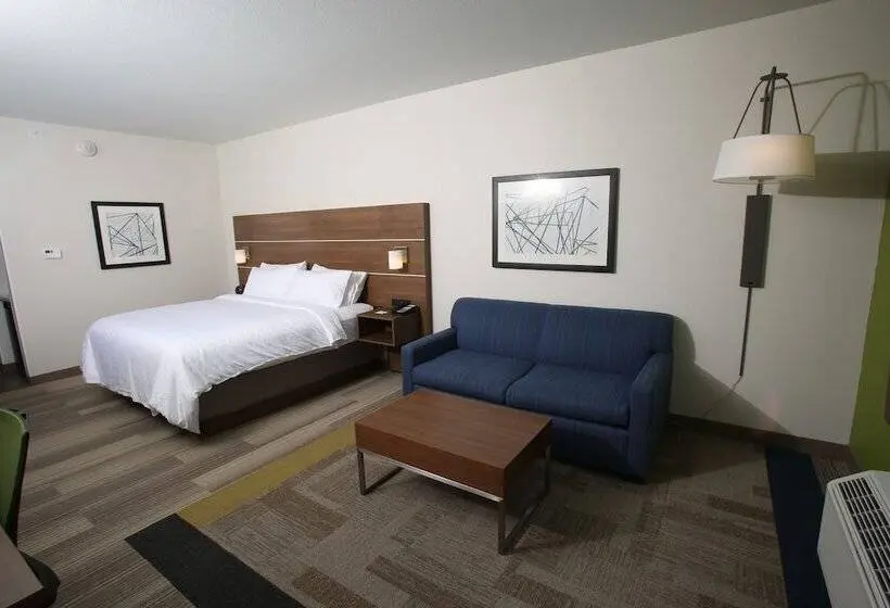 身障者適用スイートルーム, Holiday Inn Express   Mccook, An Ihg