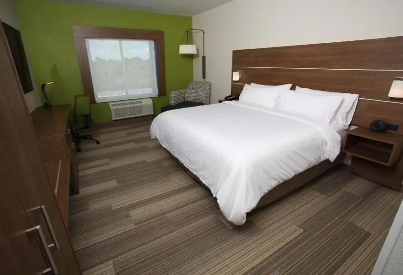 身障者適用キングサイズベッドルーム, Holiday Inn Express   Mccook, An Ihg