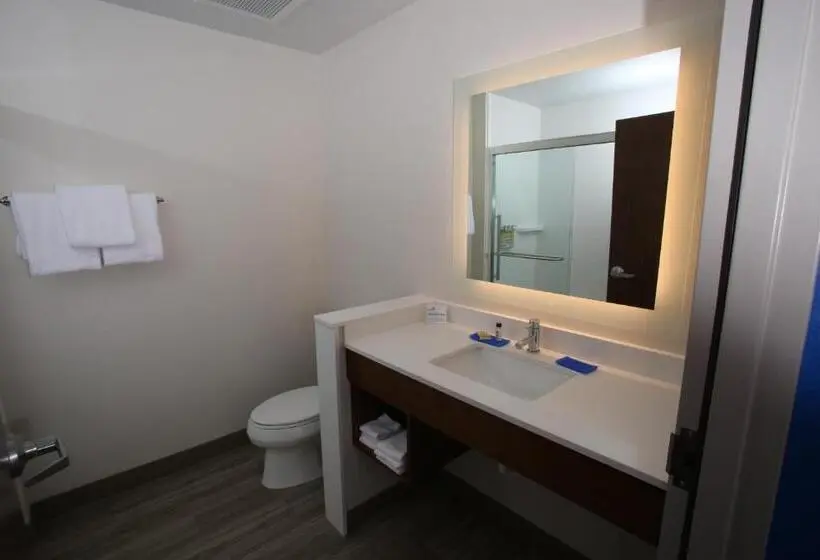 身障者適用スタンダードルーム, Holiday Inn Express   Mccook, An Ihg