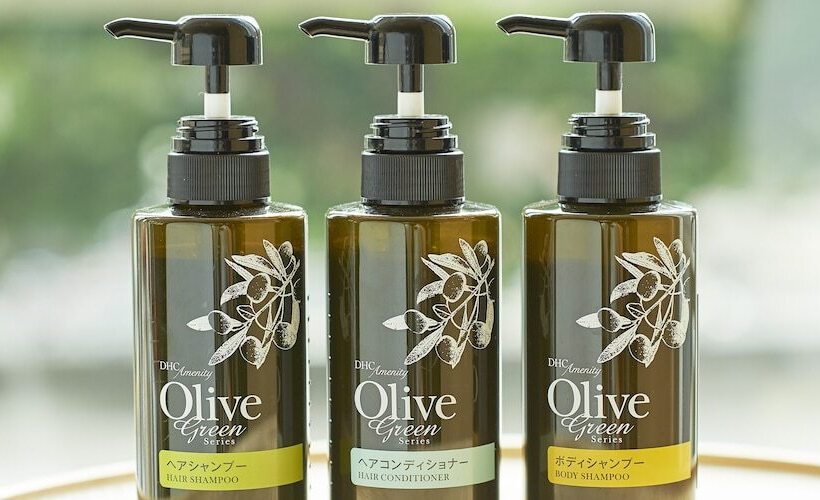 컴포트 룸, Sotetsu Fresa Inn Kitahama