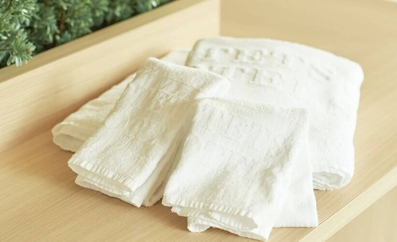 디럭스 룸, Sotetsu Fresa Inn Kitahama