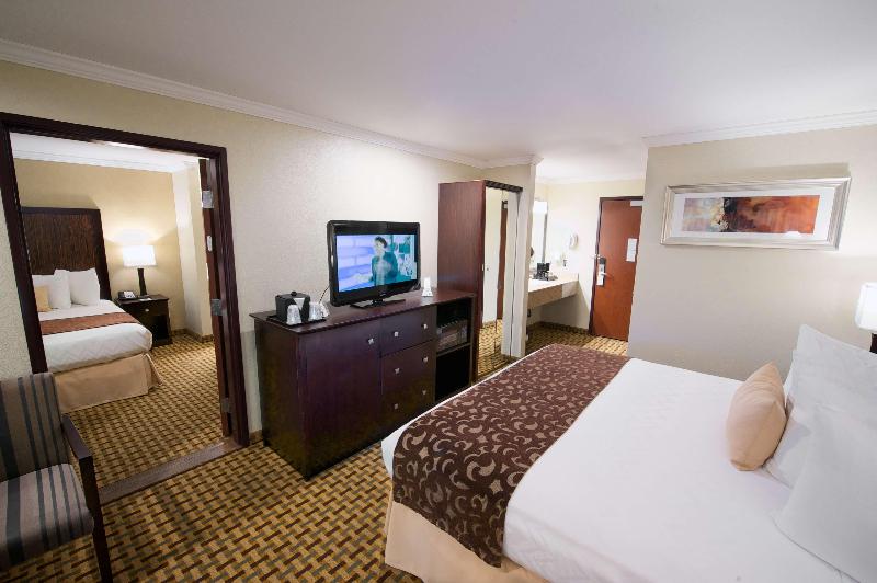 Suite, The Hive