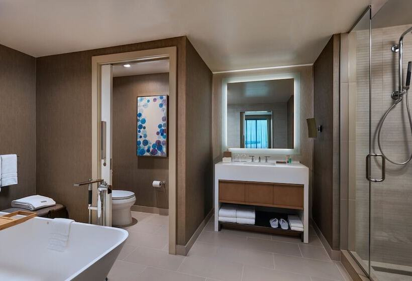 سوییت اجرایی, The Westin Irving Convention Center At Las Colinas