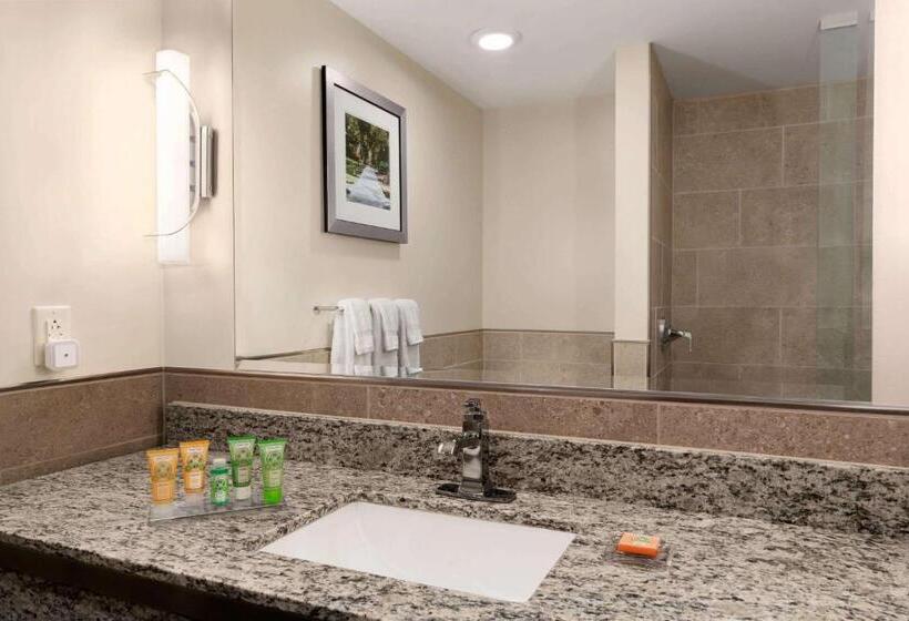 Стандартный Номер Кровать Кинг, Wyndham Garden State College