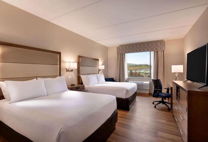 Номер Стандарт, Wyndham Garden State College