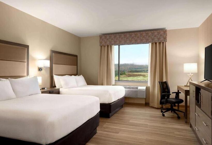 Номер Стандарт, Wyndham Garden State College