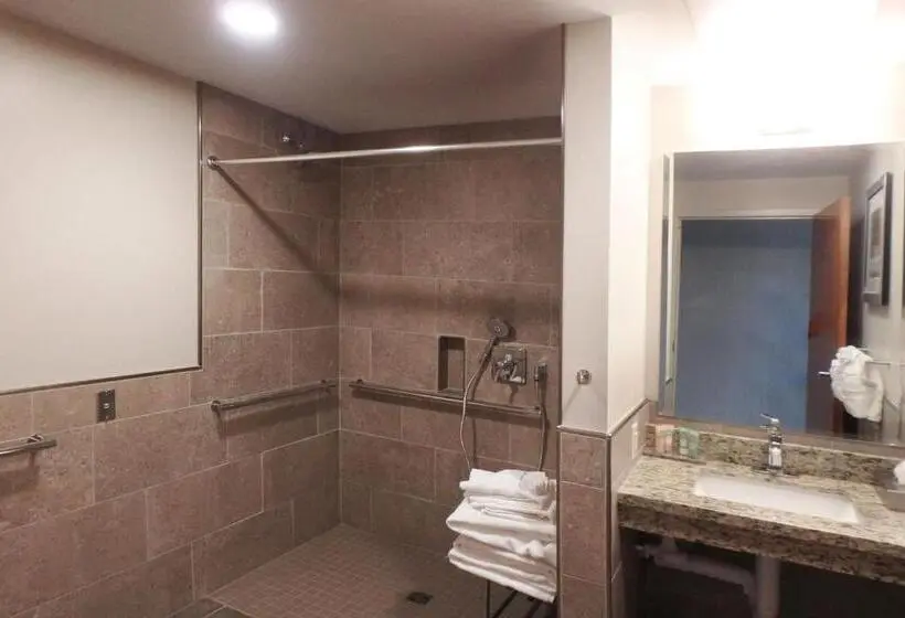 身障者適用キングサイズベッドルーム, Wyndham Garden State College