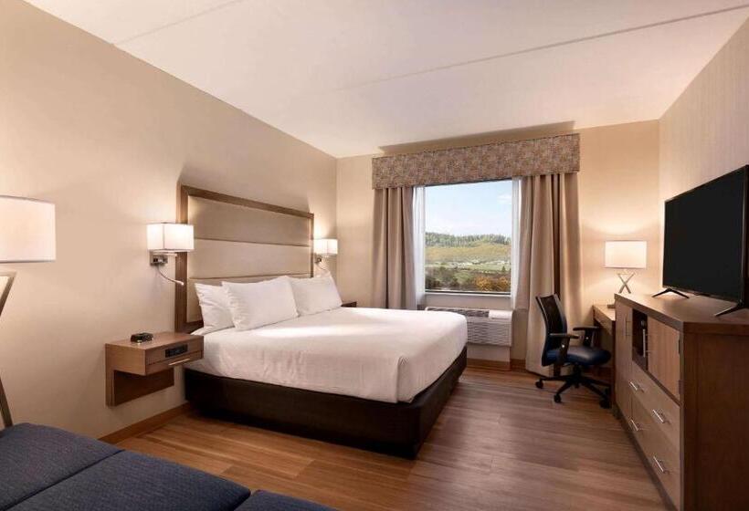 Люкс Адаптированный для Инвалидов, Wyndham Garden State College