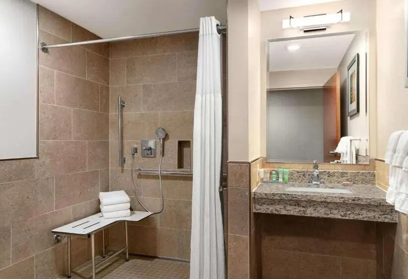 身障者適用スタンダードルーム, Wyndham Garden State College