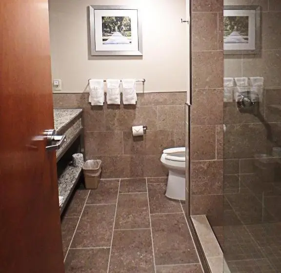 身障者適用スタンダードルーム, Wyndham Garden State College