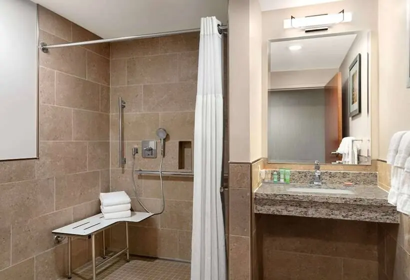 身障者適用スイートルーム, Wyndham Garden State College