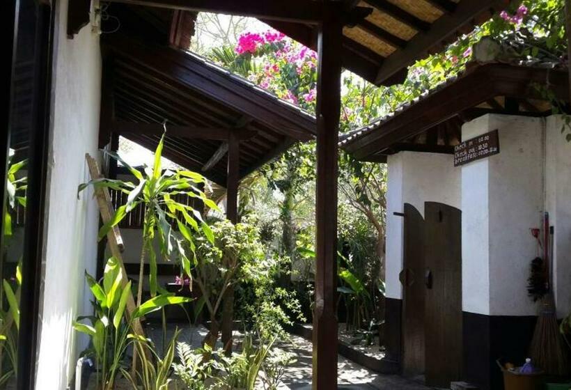 Номер Стандарт, Dili Gili