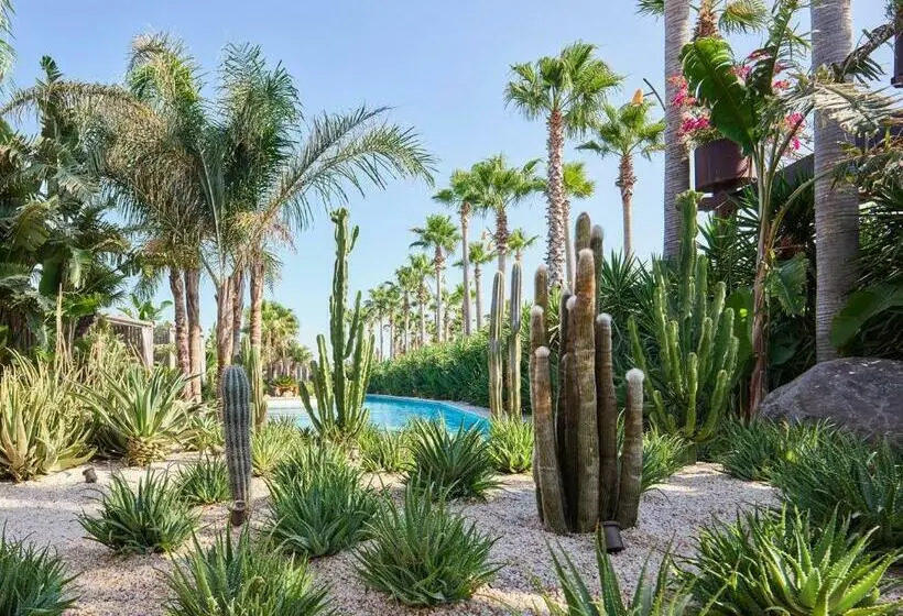 テラス付スイート, Biblos Resort Alaçatı