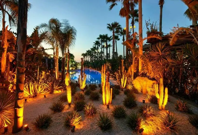 テラス付スイート, Biblos Resort Alaçatı