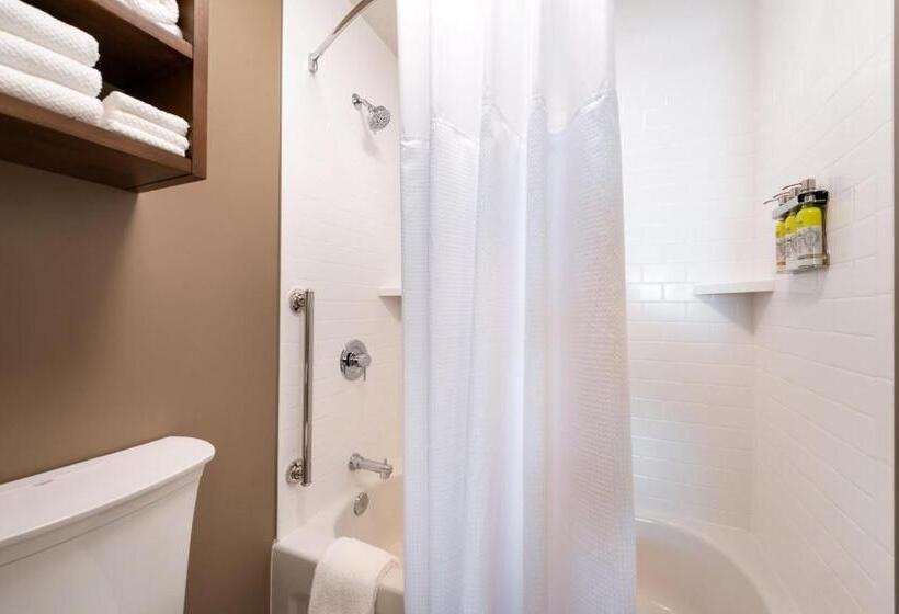Люкс 2 Спальни, Staybridge Suites   St George, An Ihg