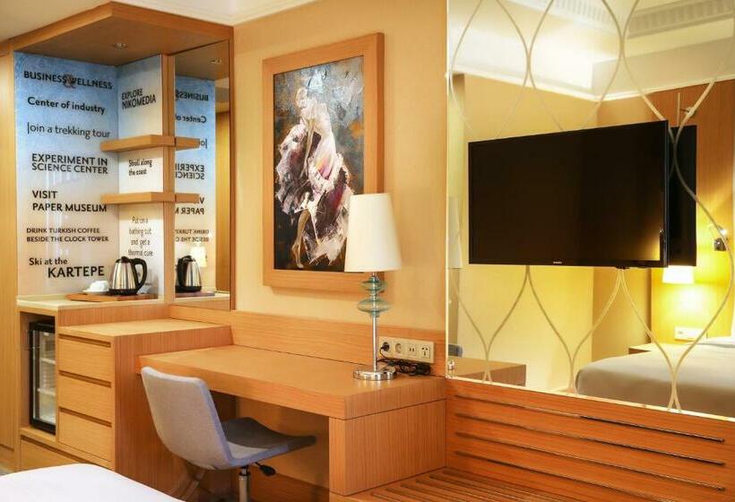 غرفة قياسية لذوى الاحتياجات الخاصة, Tryp By Wyndham Izmit