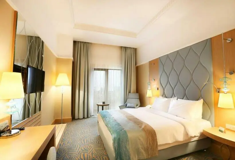 اتاق استاندارد برای معلولان, Tryp By Wyndham Izmit