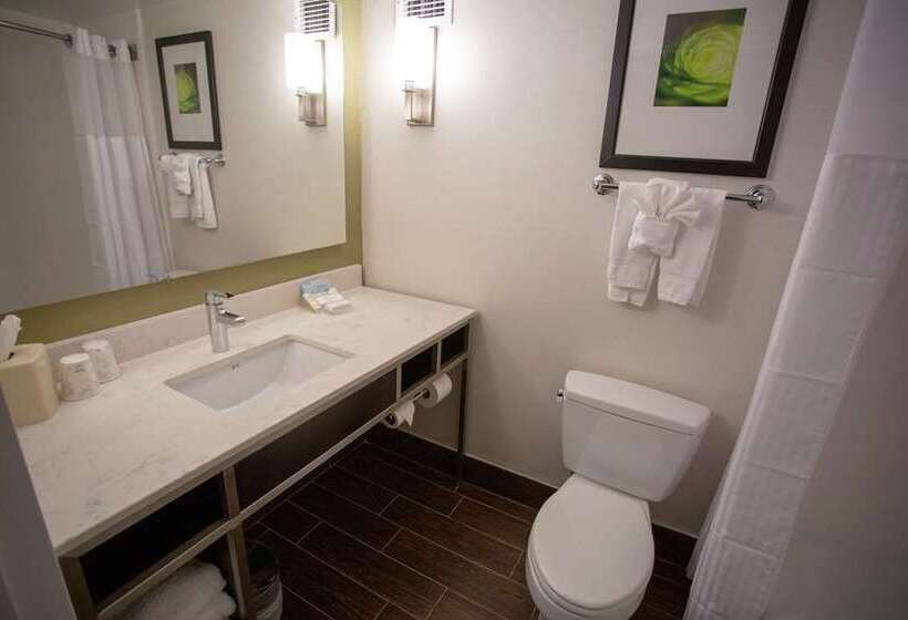 キングサイドベッドのスタンダードワンルーム, The Sound Hotel Seattle Belltown, Tapestry Collection By Hilton