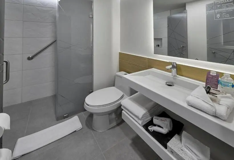 سوئیت با تخت بزرگ, City Express Plus By Marriott Tampico