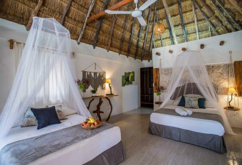 חדר סטנדרט, Reserva Nativa