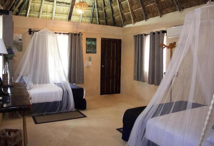 חדר סטנדרט, Reserva Nativa