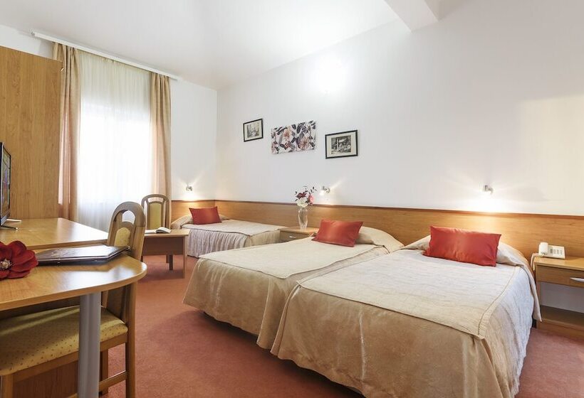 标准三人间, Villa Vicko