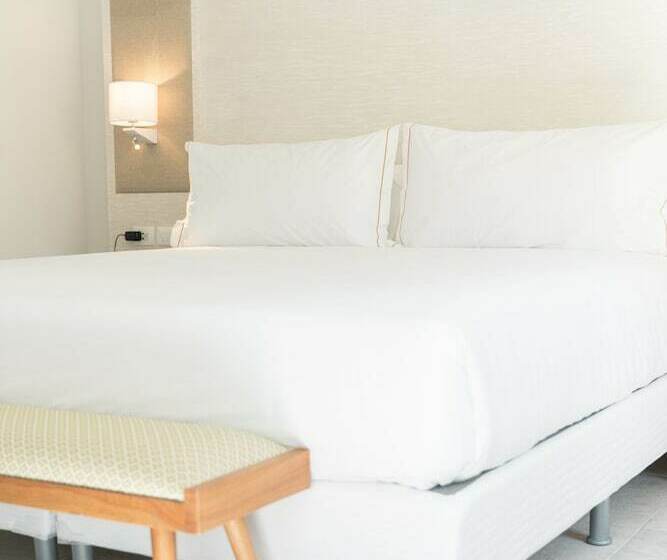 디럭스 주니어 스위트, Senator Puerto Plata