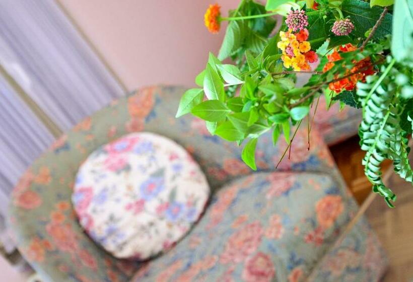 آپارتمان 1 خوابه با تراس, Villa Velzon Guesthouse